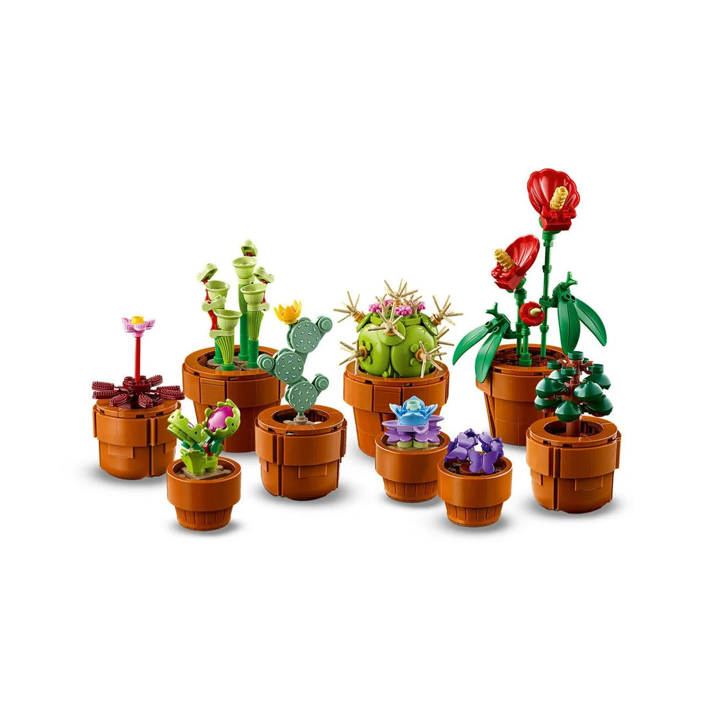 Saddle Brown LEGO 10329 Tiny Plants Indoor Set for Kids and Families THE DREAM FACTORY 1_088ee5f0-5d79-424b-90bd-2099e8606ec6.webp Building Sets and Construction Toys