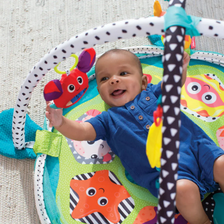Gray Infantino Grow-With-Me Activity Gym & Ball Pit Multicolor Age- Newborn & Above Toyzoona 246_1080x_9cd792e5-da52-42ca-b5ae-3027561c1127.webp Baby and Toddler Toys