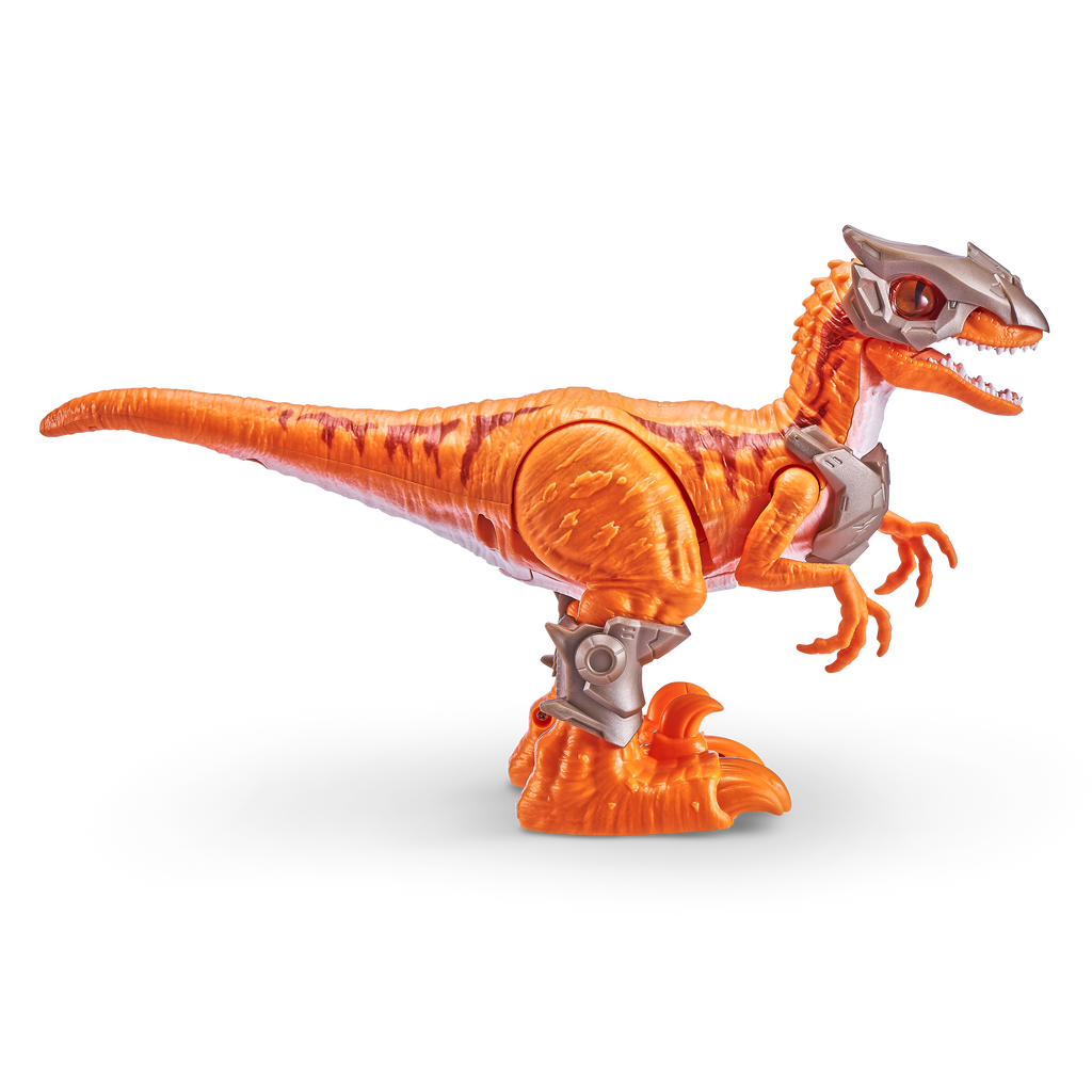 Buy Zuru Robo Alive Dinosaur Raptor 7133 For Children - Toyzoona