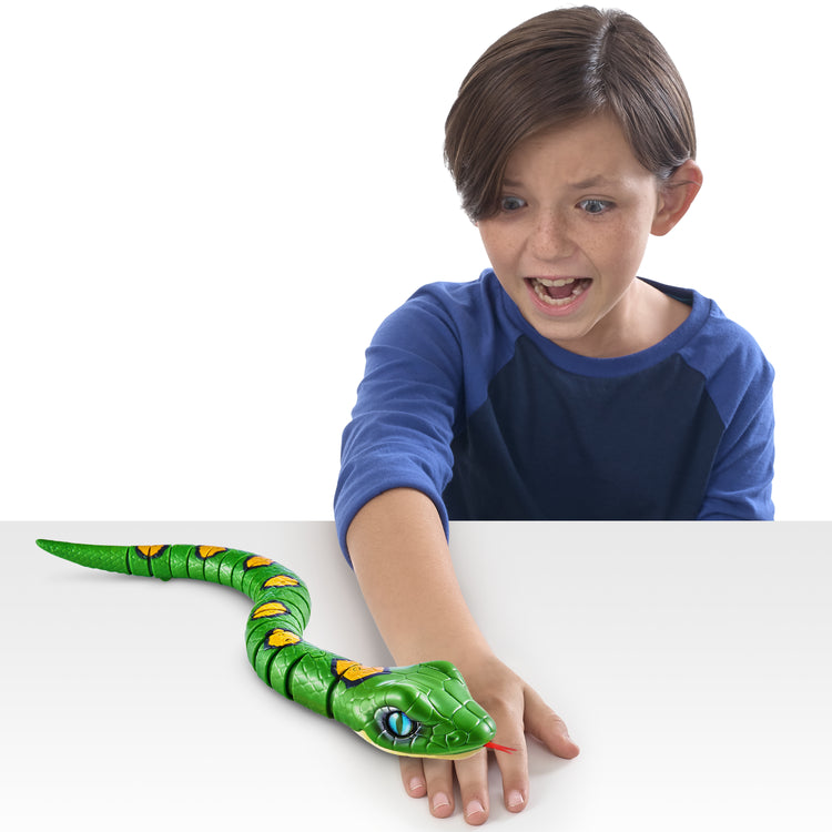 Dark Slate Gray Robo Alive Slithering Snake Robotic Toy 7150 by ZURU Toyzoona 7150_ZURU_ROBO_ALIVE_ROBOTIC_SNAKE-SERIES_3_Green_Lifestyle03.jpg Action Toys