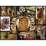 Dark Slate Gray WWF084 1000pcs Tigers Puzzle – Piece Together Wild Beauty Nairobi Toys House K Limited 71g7f3FXMRL._AC_SX569.jpg Games and Puzzles