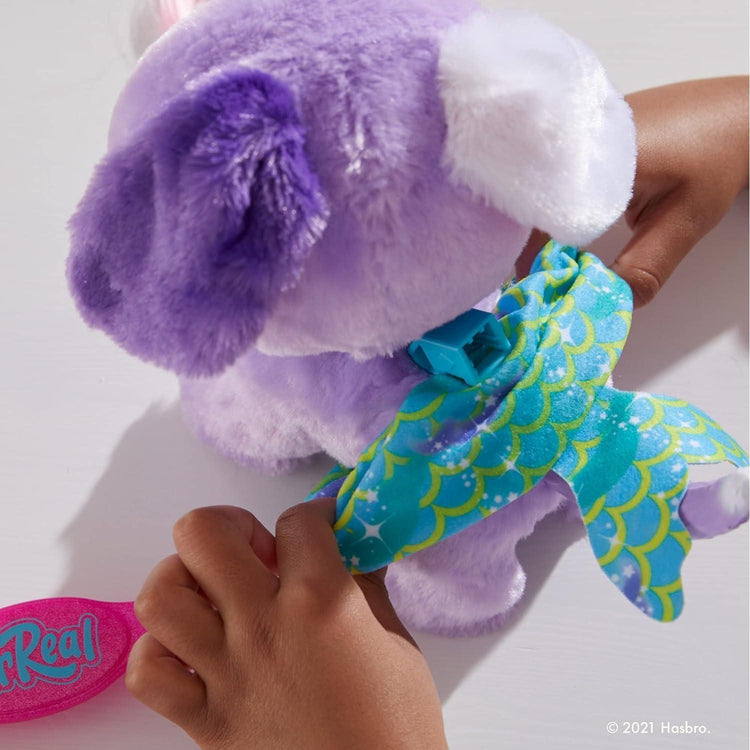 Gray Hasbro Fur Real Glamalots F2601 for Ocean-Themed Pet Adventures – Make waves with style HALSON ENTERPRISE 71klLBDtveL._AC_SL1500.jpg Dolls and Playsets