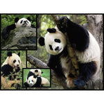 Dark Slate Gray WWF088 1000pcs Pandas Puzzle – Black, White, and Calm All Over Nairobi Toys House K Limited 81i04ul0kcL._AC_SL1500.jpg Games and Puzzles