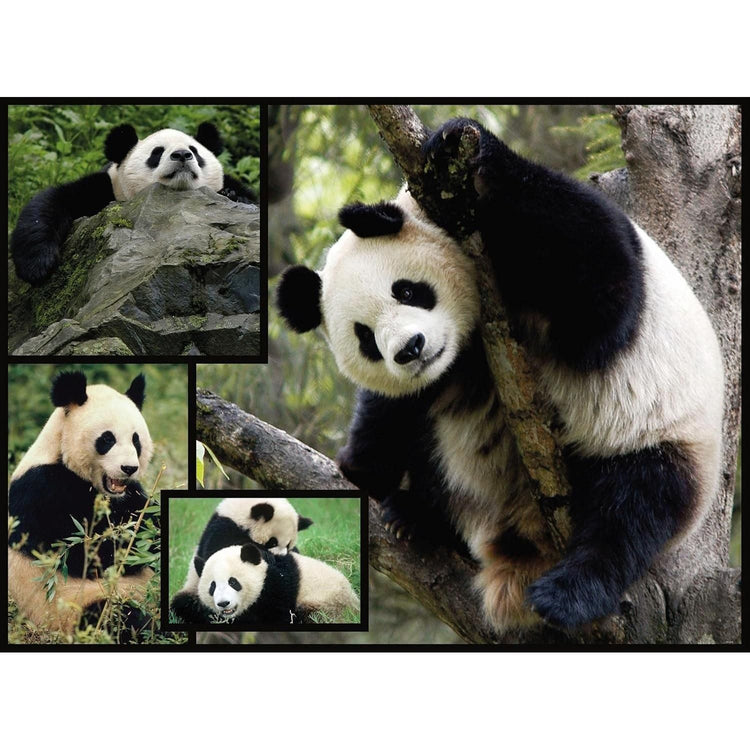 Dark Slate Gray WWF088 1000pcs Pandas Puzzle – Black, White, and Calm All Over Nairobi Toys House K Limited 81i04ul0kcL._AC_SL1500.jpg Games and Puzzles