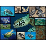 Dark Slate Gray WWF082 1000pcs Marine Turtles Puzzle – Dive into Tranquil Scenes Nairobi Toys House K Limited 916YrD-iZOL._AC_SX569.jpg Games and Puzzles