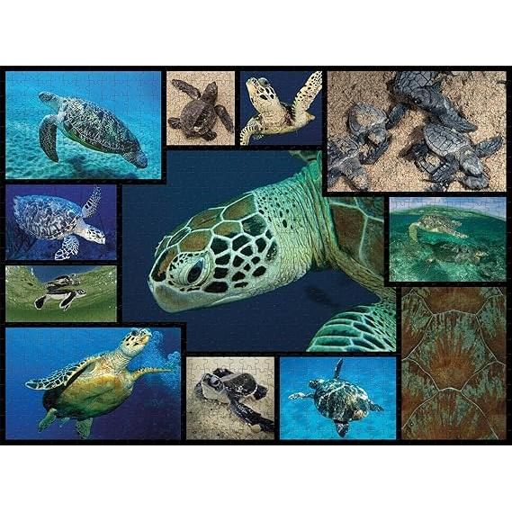 Dark Slate Gray WWF082 1000pcs Marine Turtles Puzzle – Dive into Tranquil Scenes Nairobi Toys House K Limited 91DiAD_eGRL._AC_SX569.jpg Games and Puzzles