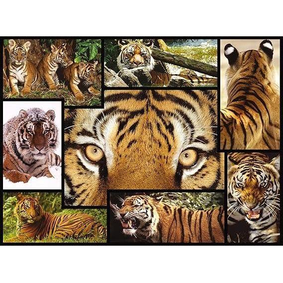 Dark Khaki WWF084 1000pcs Tigers Puzzle – Piece Together Wild Beauty Nairobi Toys House K Limited 91cgttwPsIL._AC_SX569.jpg Games and Puzzles