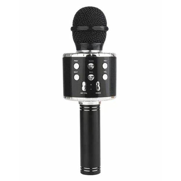 Dark Slate Gray Microphone Black HALSON ENTERPRISE blackmic.jpg Musical Toys