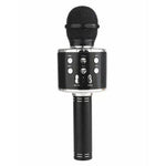 Dark Slate Gray Microphone Black HALSON ENTERPRISE blackmic.jpg Musical Toys