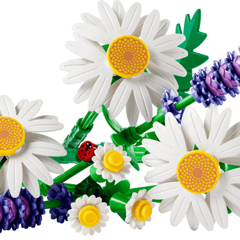 LEGO 11508 Daisies