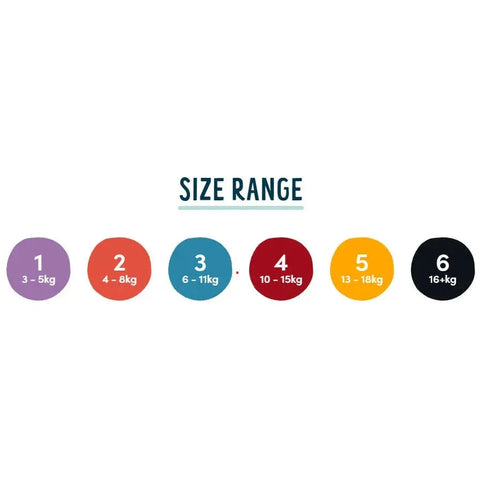 Medium Aquamarine Rascal And Friends Nappy Size 3 44Pcs Baby Care Pack Toyzoona rascal-and-friends-nappy-size-3-44pcs-toyzoona-1.webp Infant Toys