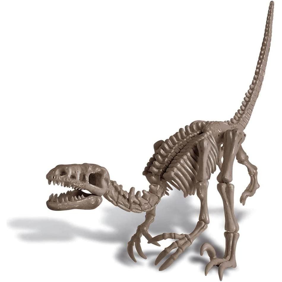 Slate Gray 4M Kidz Labs Dig A Velociraptor Toyzoona 4m-kidz-labs-dig-a-velociraptor-toyzoona-4.jpg Educational