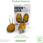 Light Gray 4M Potato Clock 3275 – Power from the Pantry Toyzoona 4m-potato-clock-3275-toyzoona-6.jpg Educational