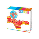 Medium Turquoise Intex Lobster Ride On for Bright Ocean-Themed Fun PEEKABOO EXPERIENCE STORE intex-lobster-ride-on-toyzoona-2.jpg Sports Toys & Outdoor Play