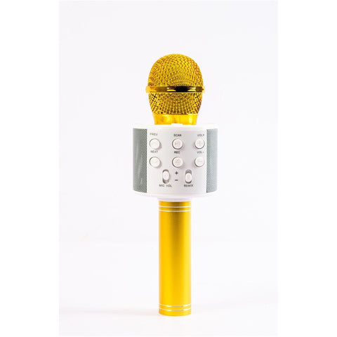 White Smoke Microphone Gold - Glamorous Singing Toy for Kids TOYZOONA LIMITED microphone-gold-toyzoona.jpg Musical Instruments