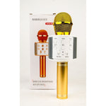 Beige Microphone Silver – Classic Kids Singing Fun TOYZOONA LIMITED microphone-silver-toyzoona.jpg Musical Instruments